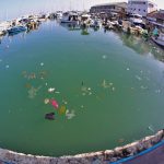 The winners of the Environmental Photo Contest: “A Vicious Circle of Pollution” and “Bathing in discharge waters of power station”