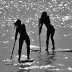 Winner of the silhouette photo contest