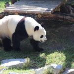Association of Zoos and Aquariums Announces National Photo Contest Winner