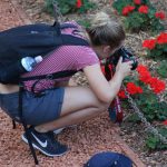 Macro Photography Contest D2E (Down to Earth)
